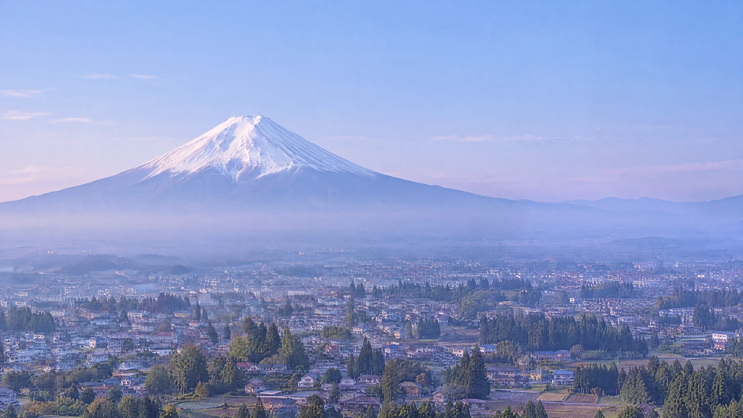 Illustration of Mount Fuji above a town, with cherry blossom in front of a red pagoda